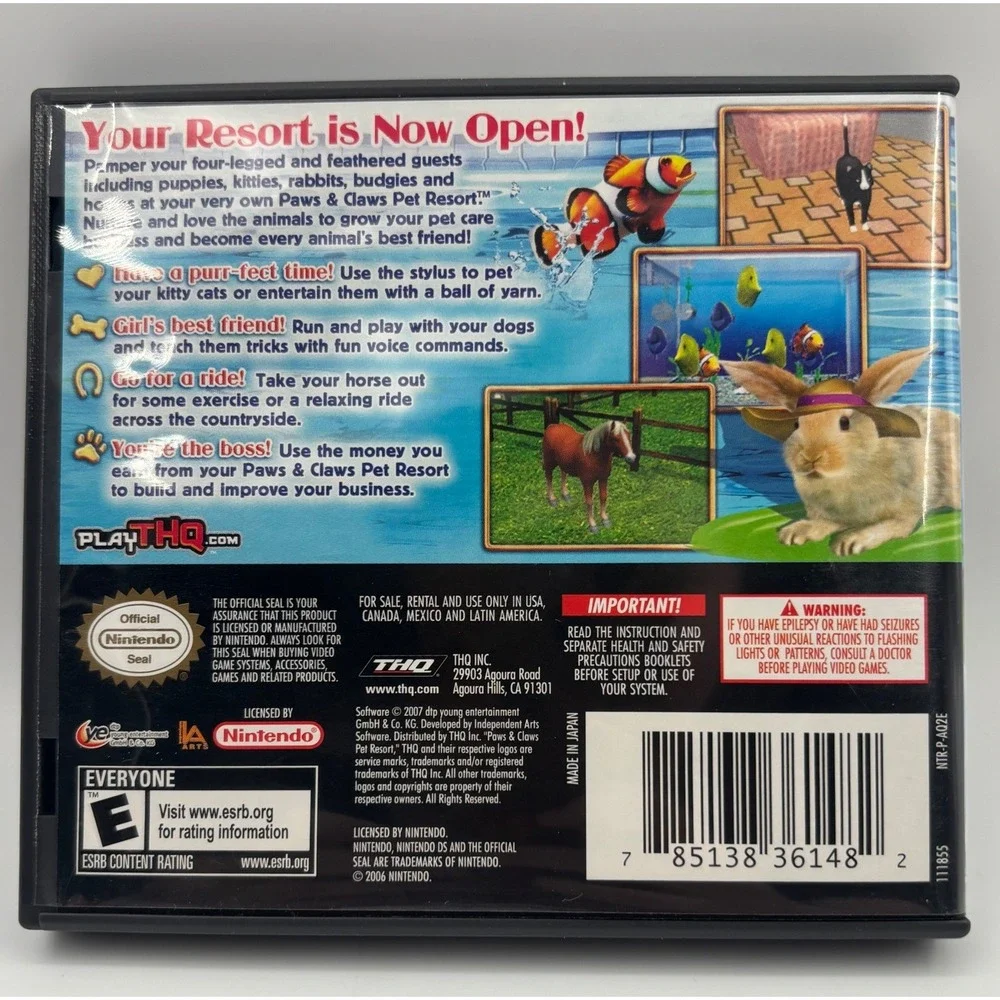 Nintendo this ds